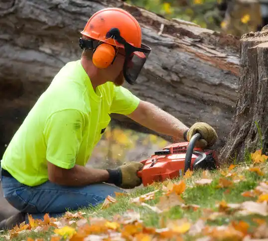 tree services Guttenberg